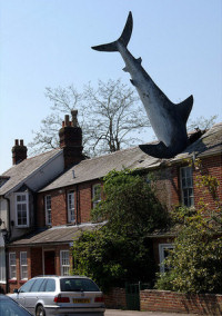 [Nappilaskeutuminen]