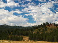 [Sorkkavuoren pienvuoristonpoikanen]