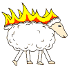 [Liekehtivä lammas]